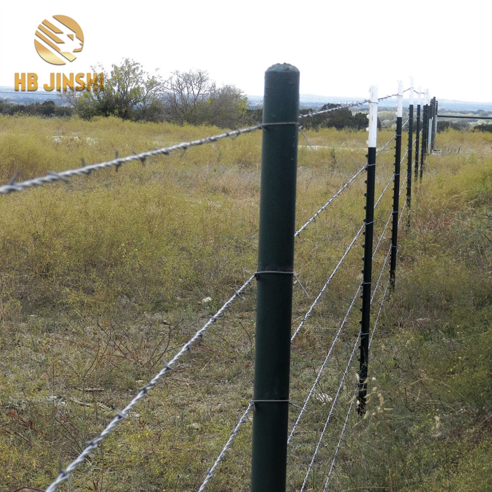 black steel fence posts